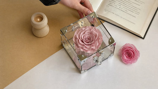 Mini Petite acrylic box with single dusty pink preserved rose by LULU ROSÉE, minimalist everlasting preserved flower table decor, long-lasting real rose home ornament