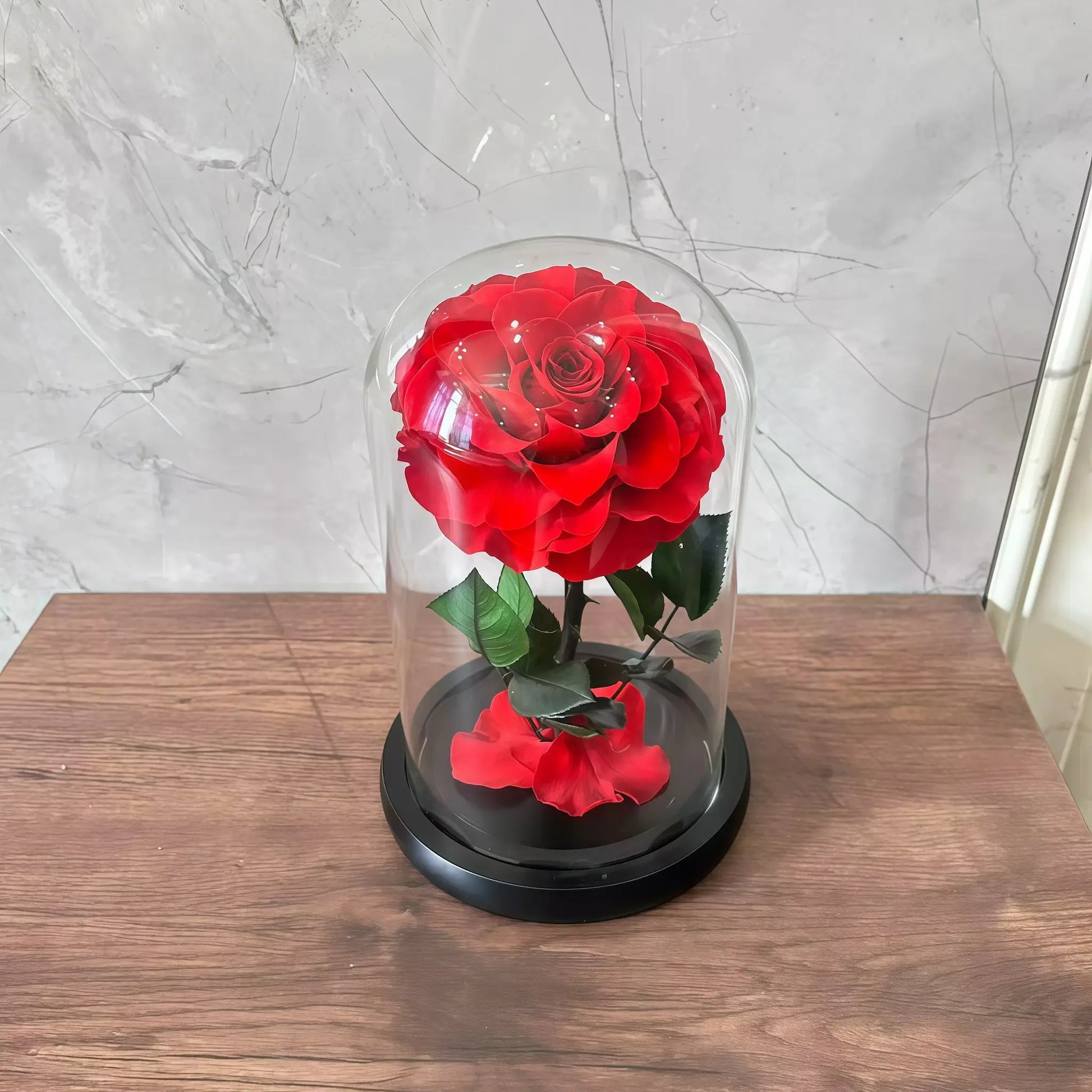 LULU ROSÉE Beauty and the Beast Red Rose Dome with Green Leaves, Everlasting Rose in Glass Case