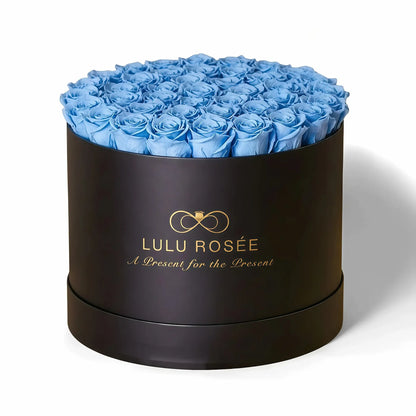 LULU ROSÉE extra large round box baby blue roses black classic box on white background