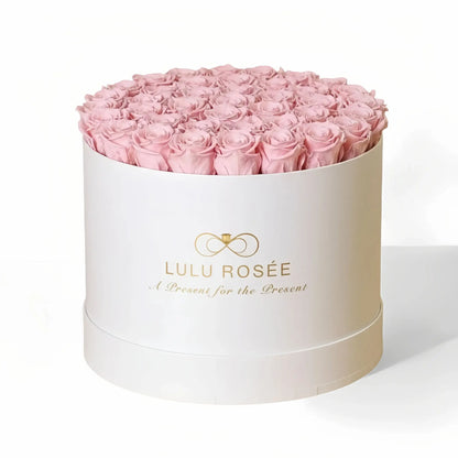 LULU ROSÉE extra large round box baby pink roses white classic box on white background