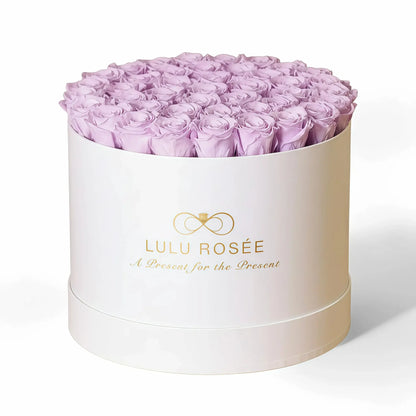 LULU ROSÉE extra large round box light purple roses white classic box on white background