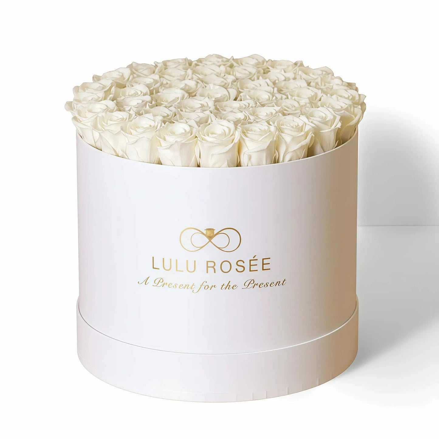 LULU ROSÉE extra large round box white roses white classic box on white background