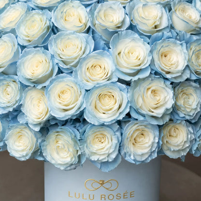 LULU ROSÉE Grande Superdome Ice Blue Gradient Preserved Rose Box close up, detailed view of gradient ice blue preserved rose blooms inside light blue round gift box