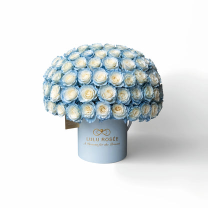 LULU ROSÉE Grande Superdome Ice Blue Gradient Preserved Rose Box isolated on plain white background, dome-shaped everlasting ice blue gradient rose gift box