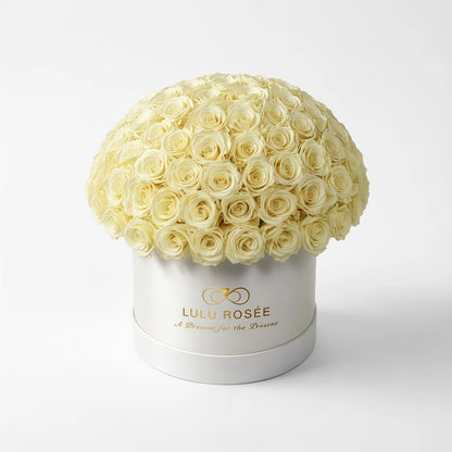LULU ROSÉE large le plein light yellow roses white box on white background