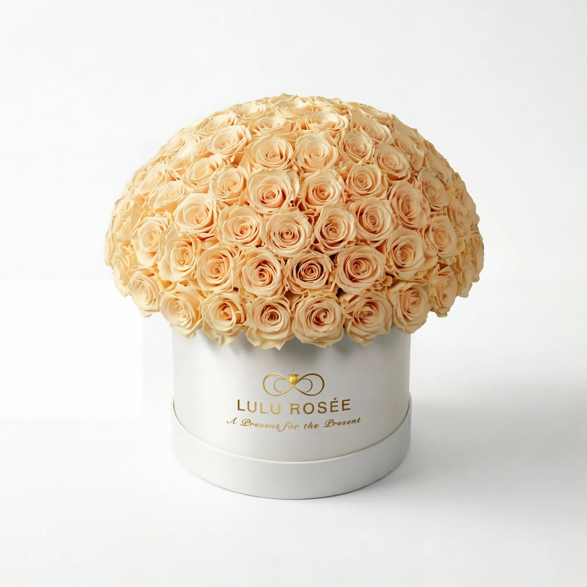 LULU ROSÉE large le plein red champagne roses white box on white background
