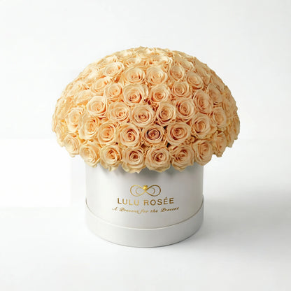 LULU ROSÉE large le plein red champagne roses white box on white background