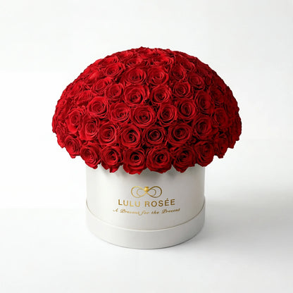 LULU ROSÉE large le plein red roses white box on white background