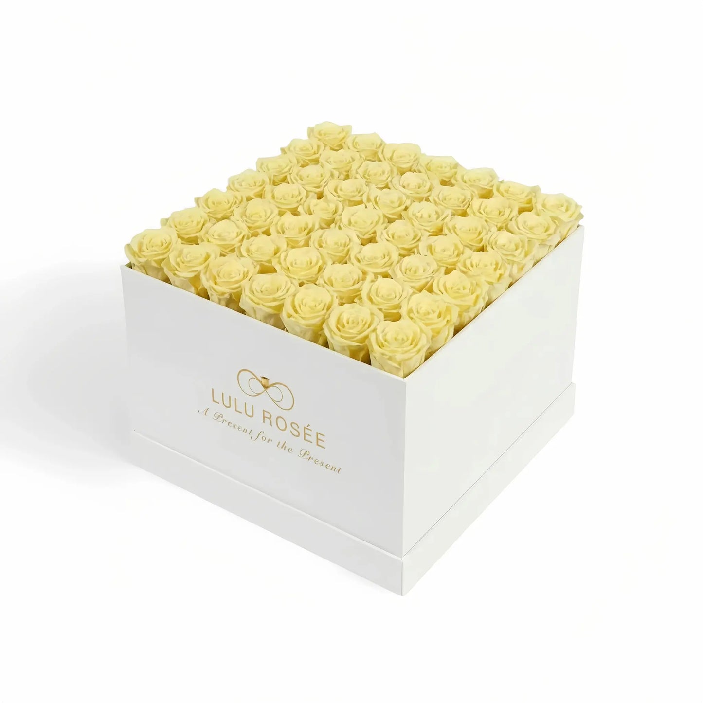 LULU ROSÉE large square box light yellow roses white classic box on white background