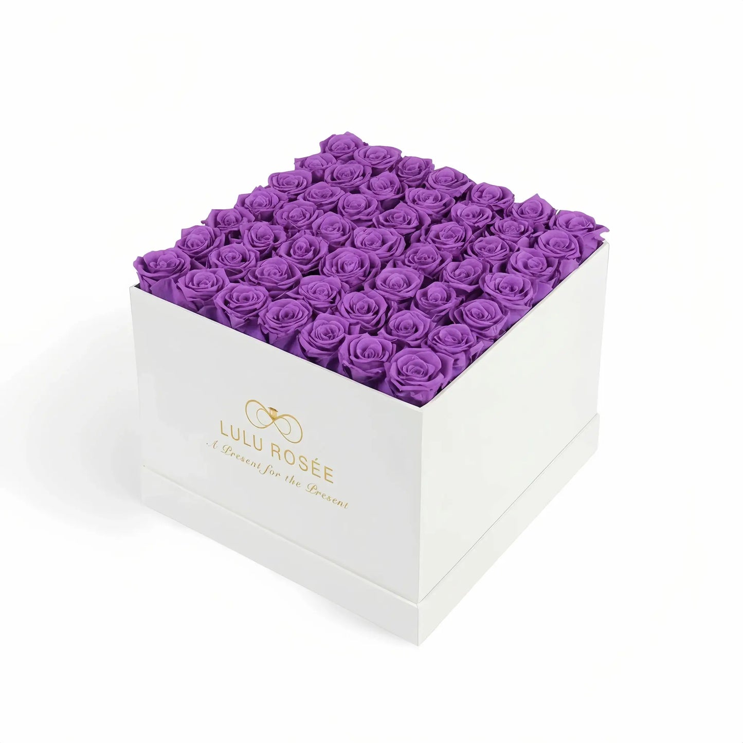 LULU ROSÉE large square box purple roses white classic box on white background