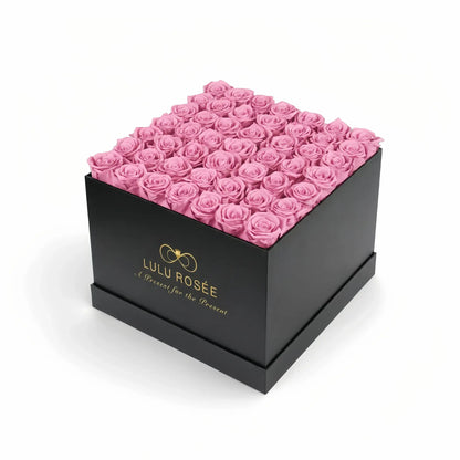 LULU ROSÉE large square box sweet pink roses black classic box on white background