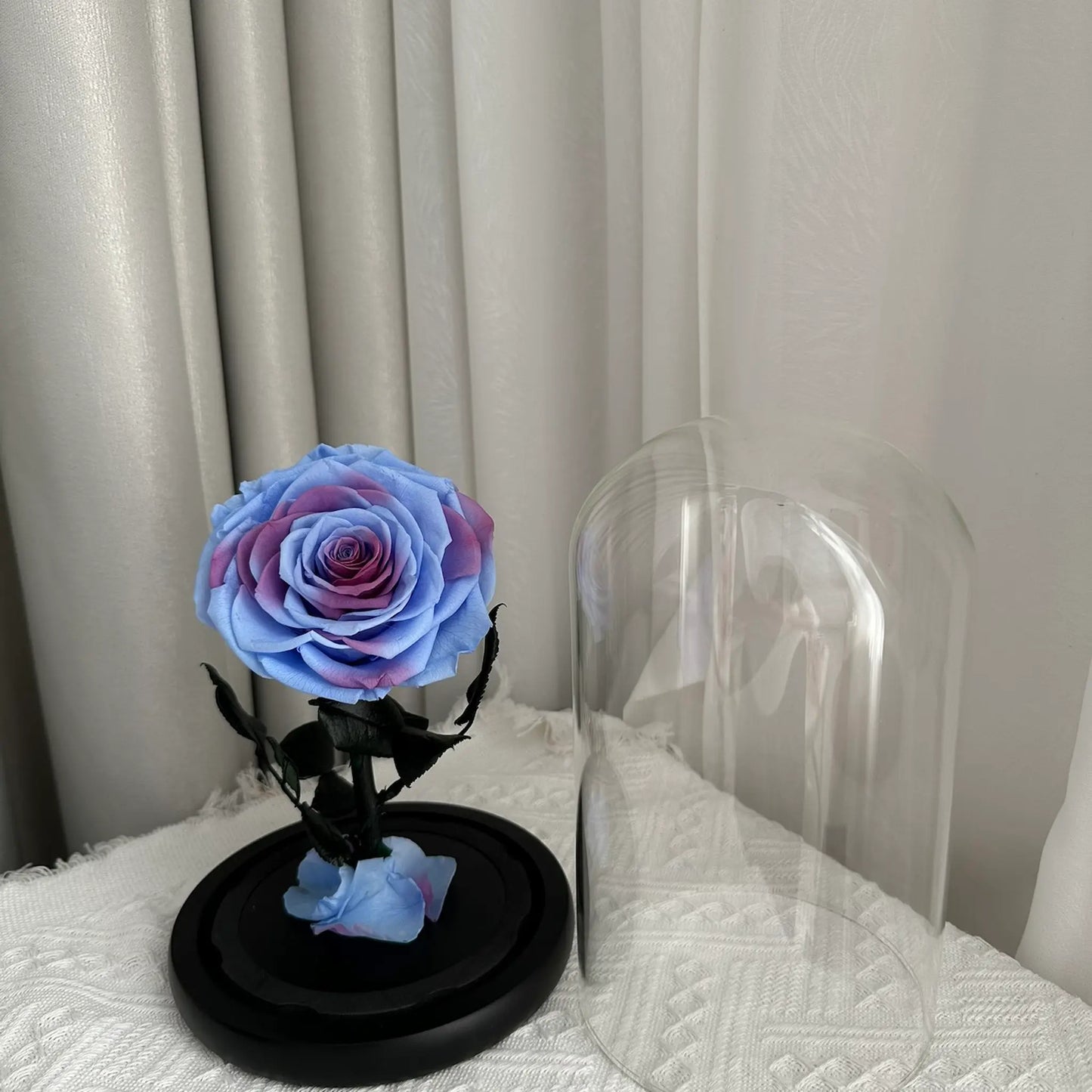 LULU ROSÉE little prince bluish violet rose as an elegant centerpiece