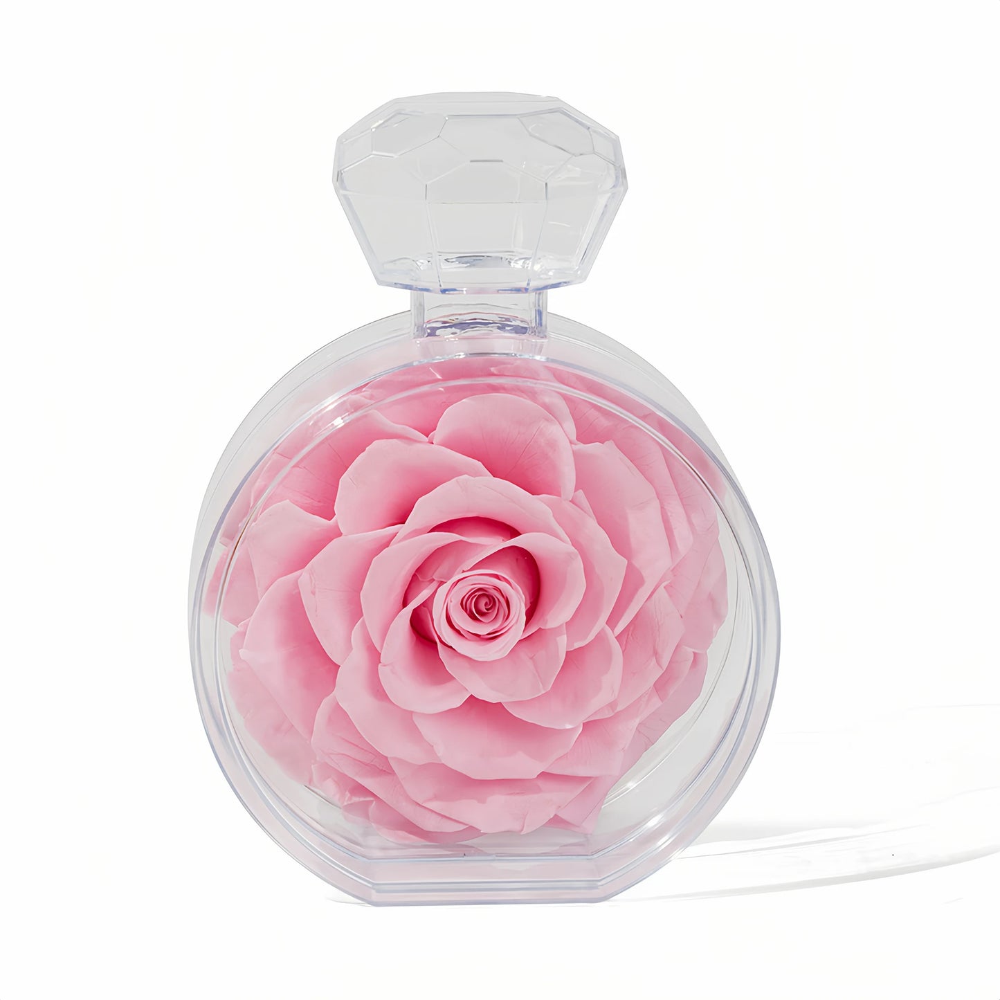 LULU ROSÉE single rose perfume bottle light pink rose on white background